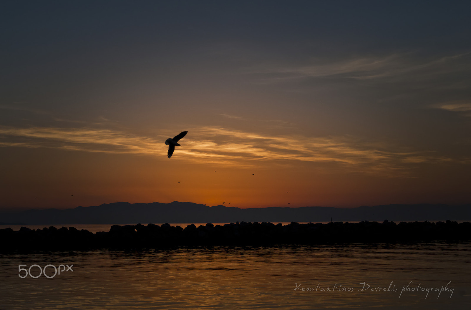 Nikon AF-S Nikkor 28-70mm F2.8 ED-IF sample photo. Sunset flying ... photography