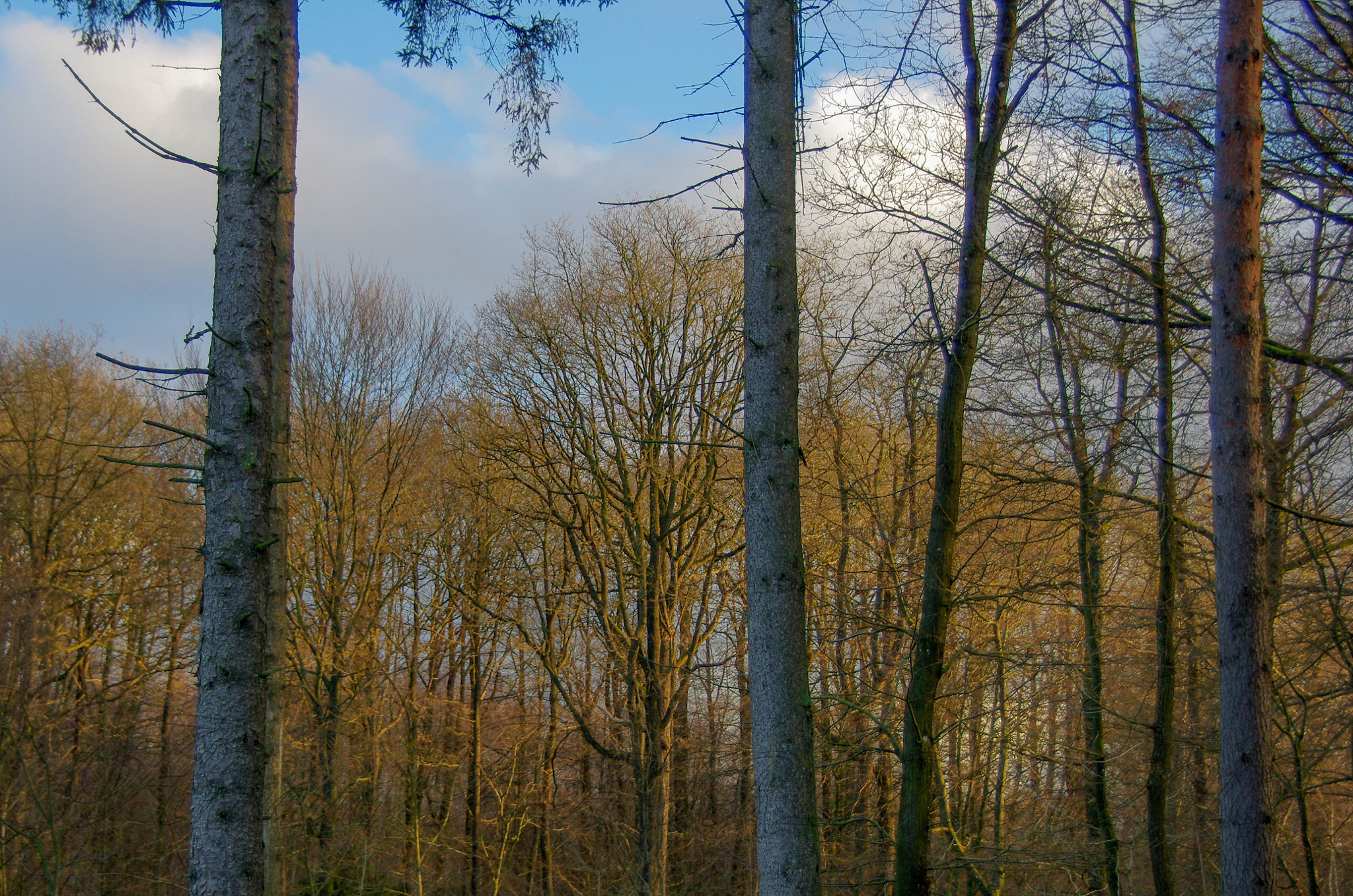 Pentax K-5 sample photo. 29122015-_rk53938.jpg photography