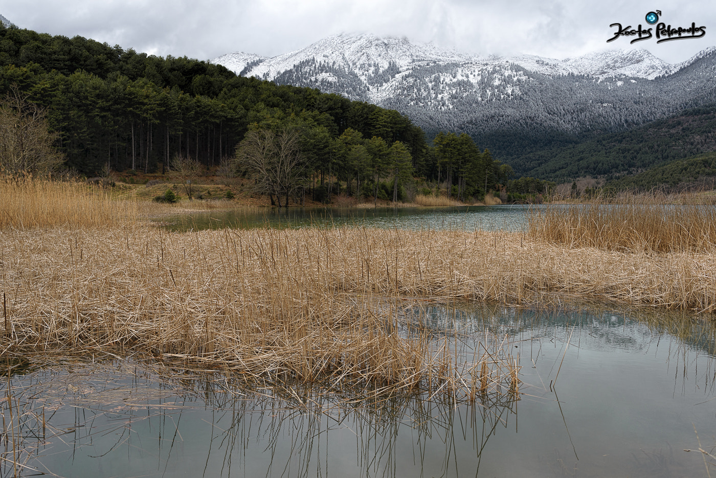 Nikon D610 + AF Zoom-Nikkor 35-70mm f/2.8 sample photo. Luminous diffusion photography