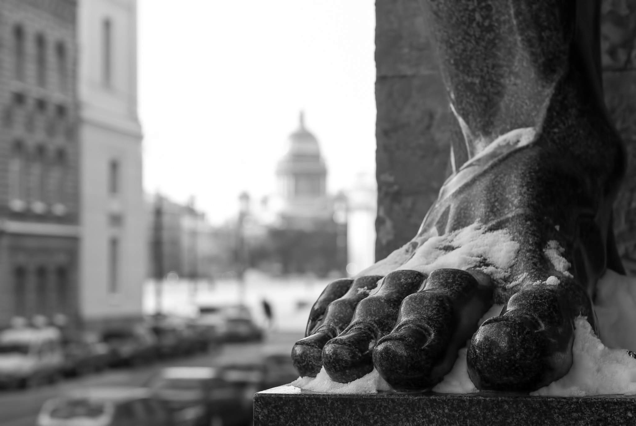 Nikon D200 sample photo. Hermitage foot photography