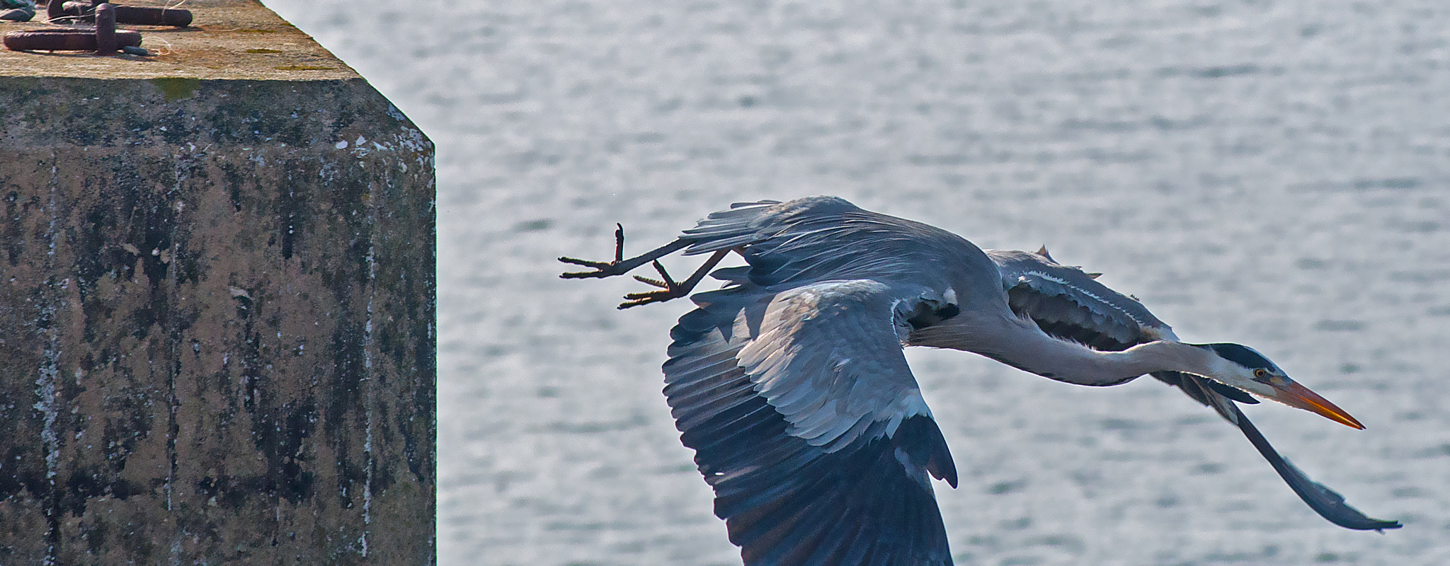 AF Zoom-Nikkor 75-240mm f/4.5-5.6D sample photo. Take off photography