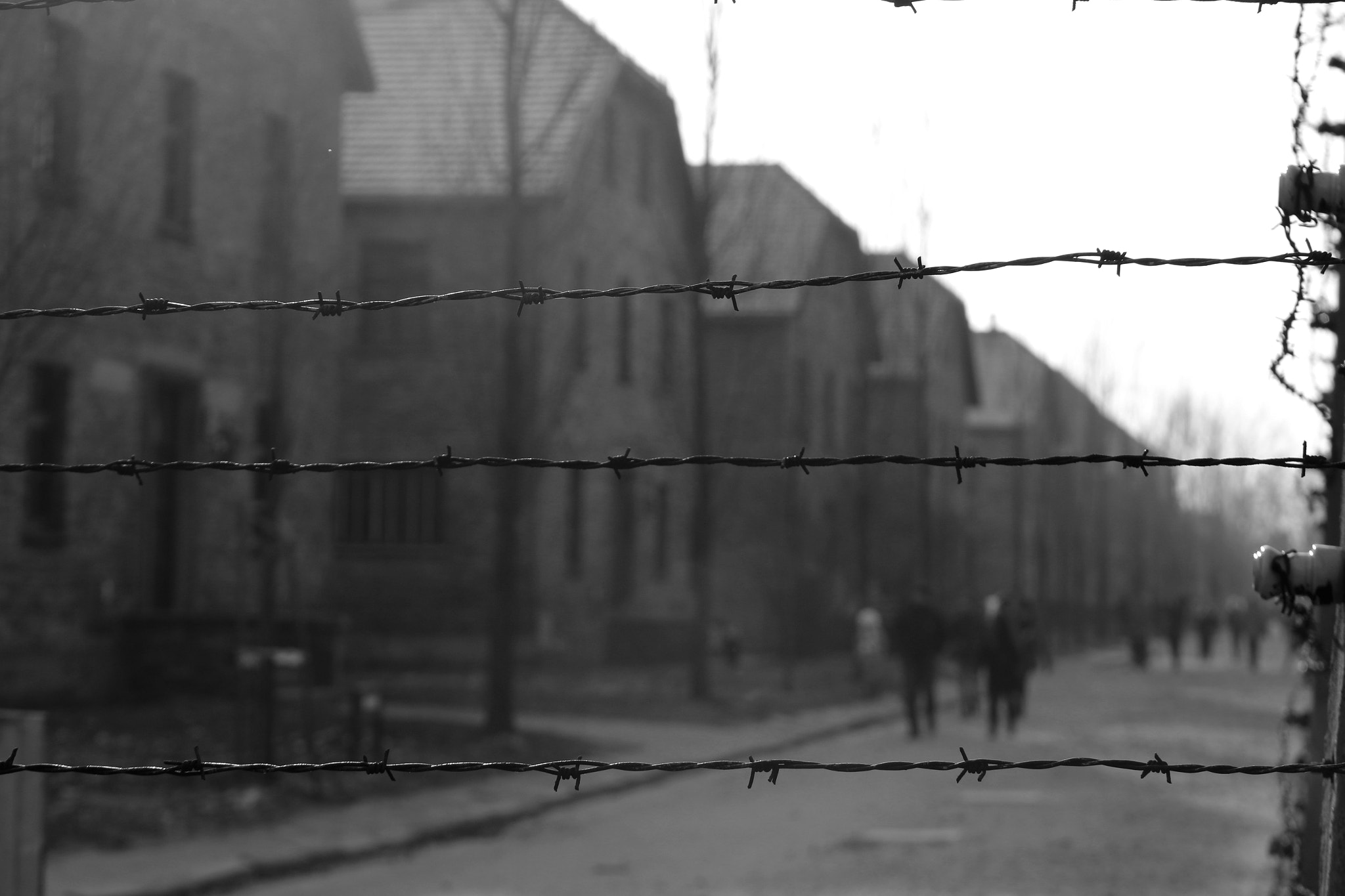 Canon EOS 70D + Canon EF 55-200mm F4.5-5.6 II USM sample photo. Auschwitz photography