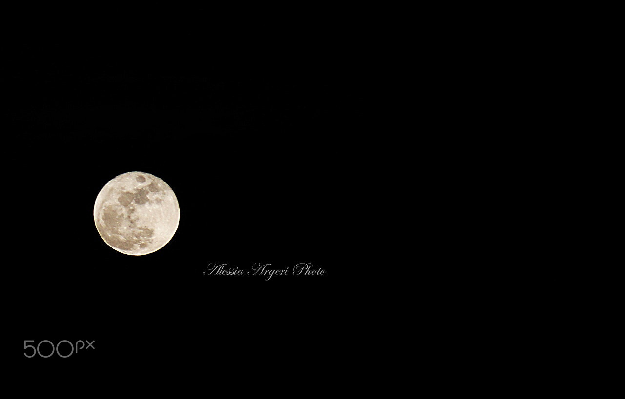 Canon EF 55-200mm F4.5-5.6 II USM sample photo. Alessia argeri photography © photography