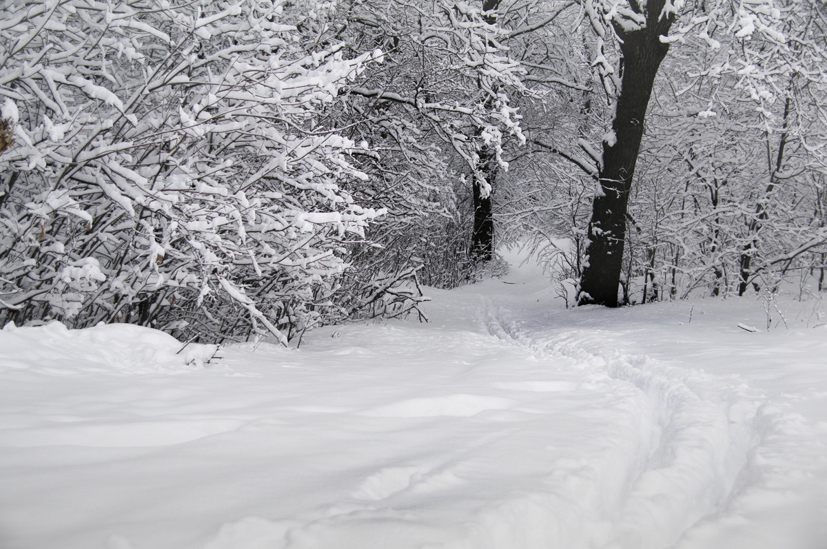Pentax K-7 sample photo. Russian snow photography