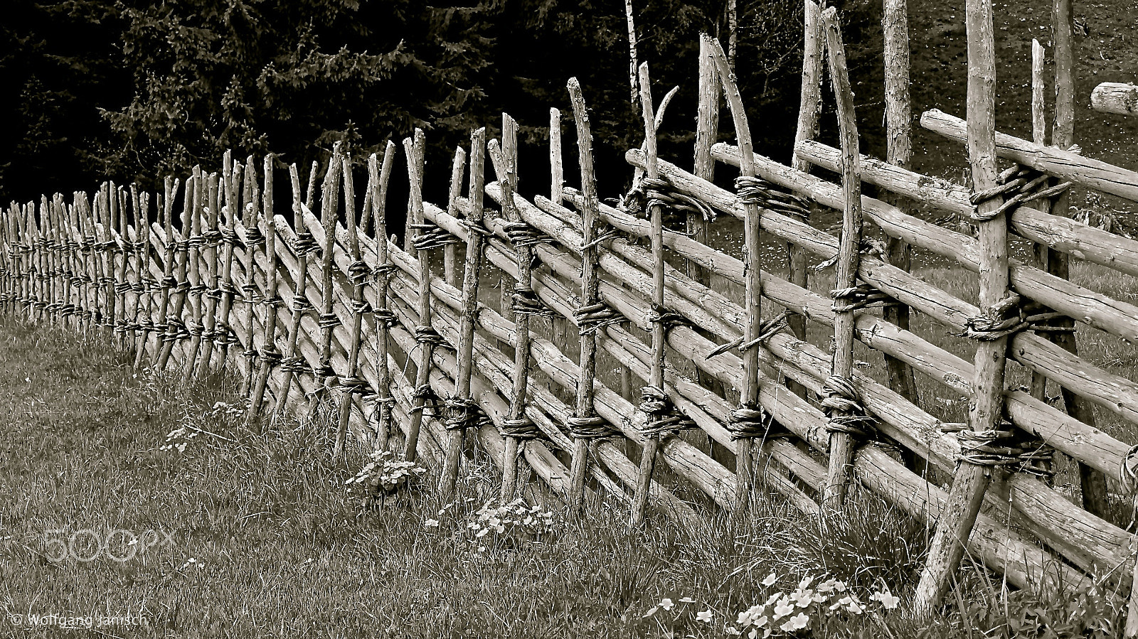 Nikon 1 J2 sample photo. Teichalm photography