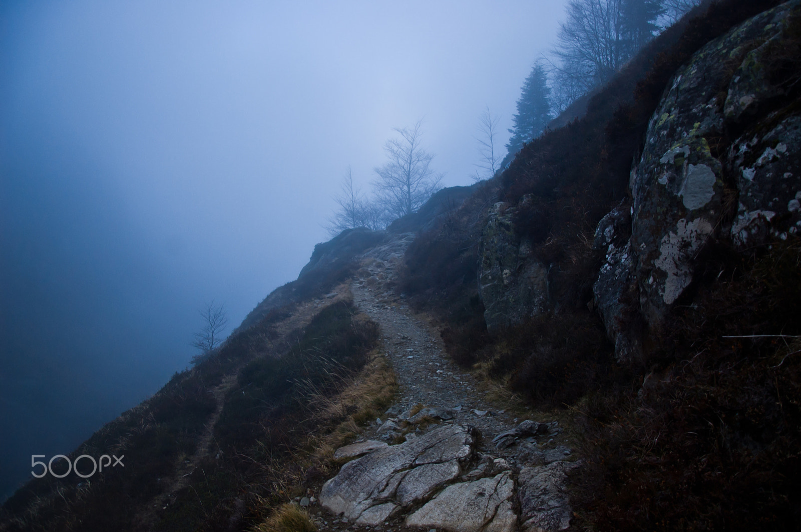 Nikon D50 sample photo. The head in the clouds photography