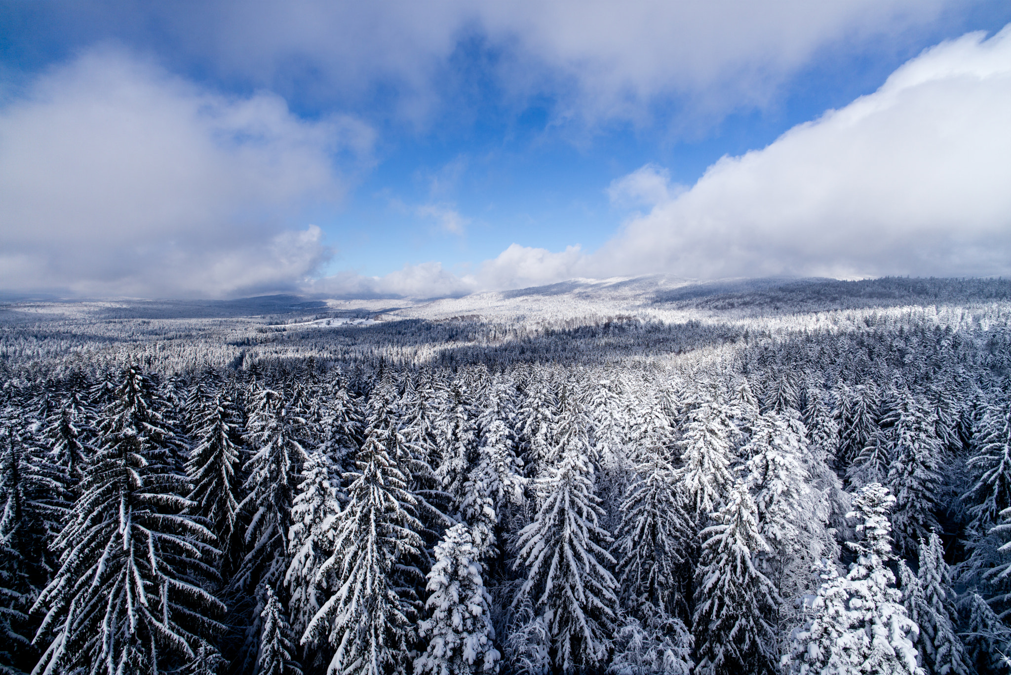 Leica Summarit-M 90mm F2.4 sample photo. Bavarian forest photography
