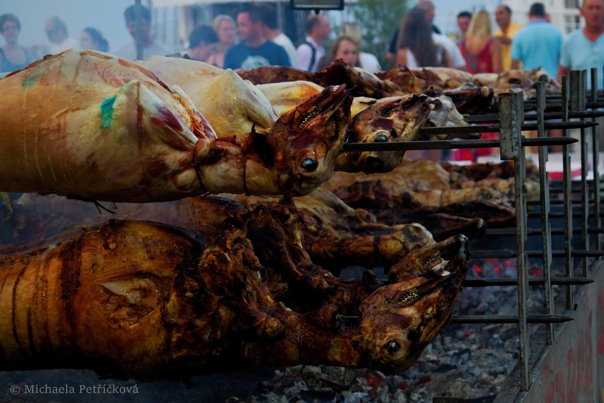 18.00 - 105.00 mm f/3.5 - 5.6 sample photo. Barbecues photography