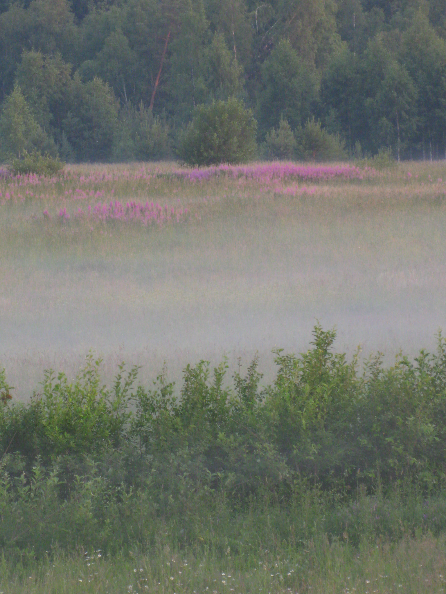 Canon PowerShot SD890 IS (Digital IXUS 970 IS / IXY Digital 820 IS) sample photo. Fog photography