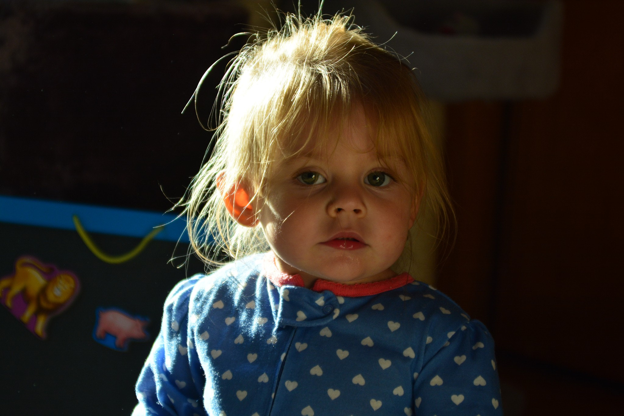 AF Zoom-Nikkor 28-85mm f/3.5-4.5 sample photo. Little juni photography