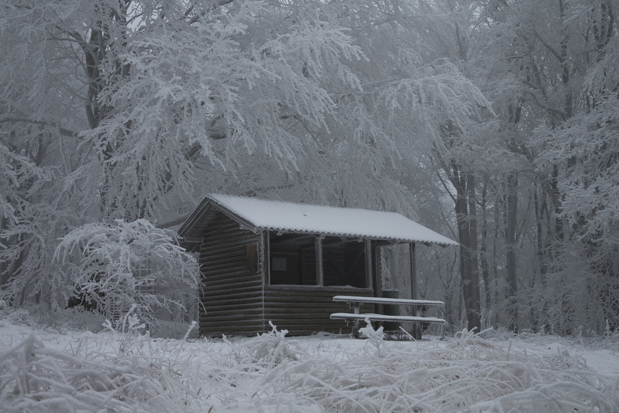Sigma 24-105mm f/4 DG OS HSM | A sample photo. Mr. frosty´s haus photography