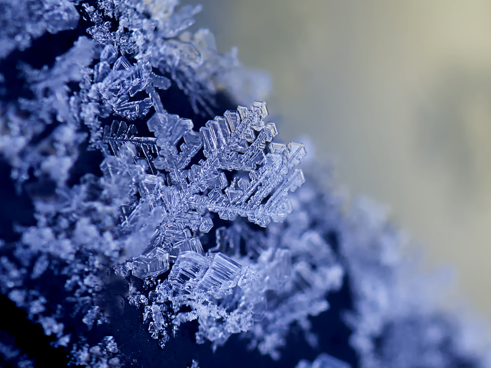 Samsung NX300 + Samsung NX 60mm F2.8 Macro ED OIS SSA sample photo. Winter miracle... photography