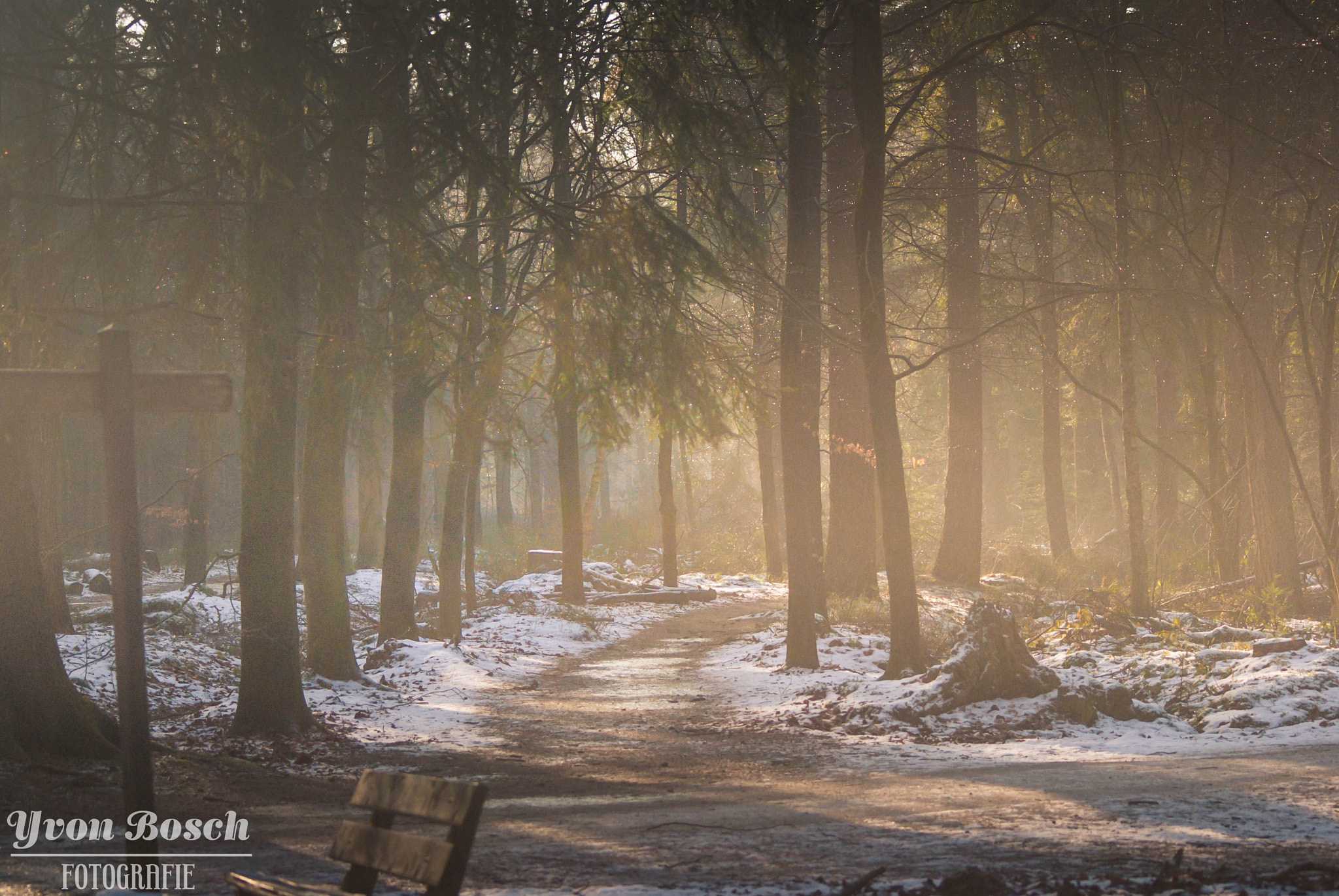 Sony Alpha DSLR-A300 + Sigma 70-300mm F4-5.6 DL Macro sample photo. Beautiful winter photography