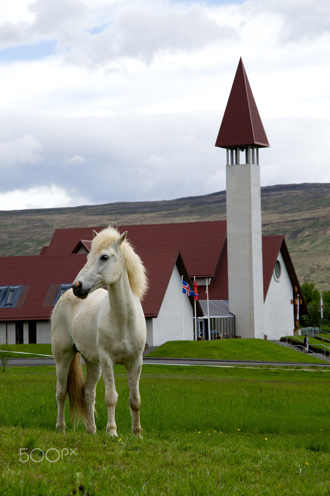 18.00 - 105.00 mm f/3.5 - 5.6 sample photo. Icelandic horse photography