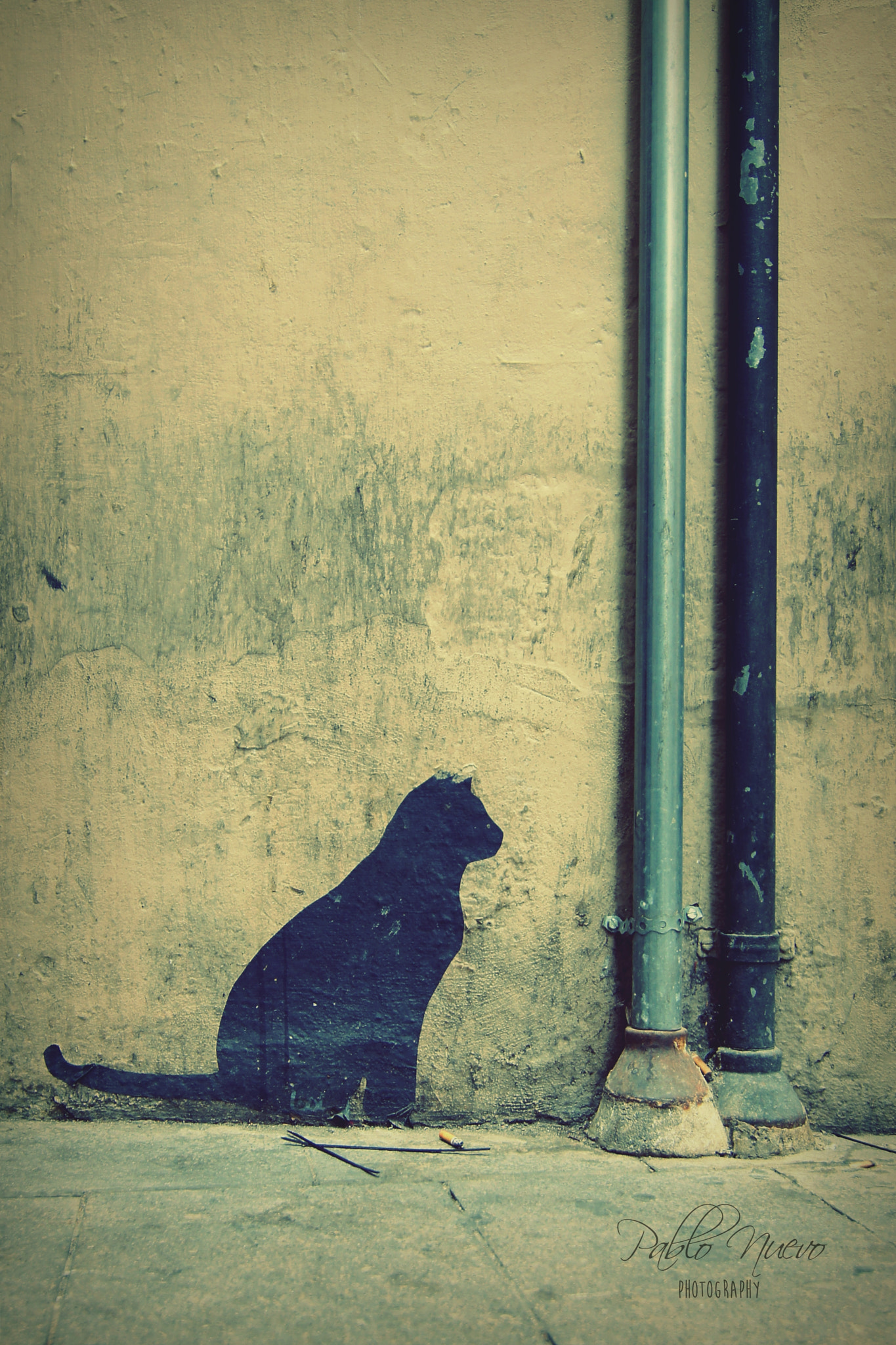 20mm F2.8 sample photo. Still... photography
