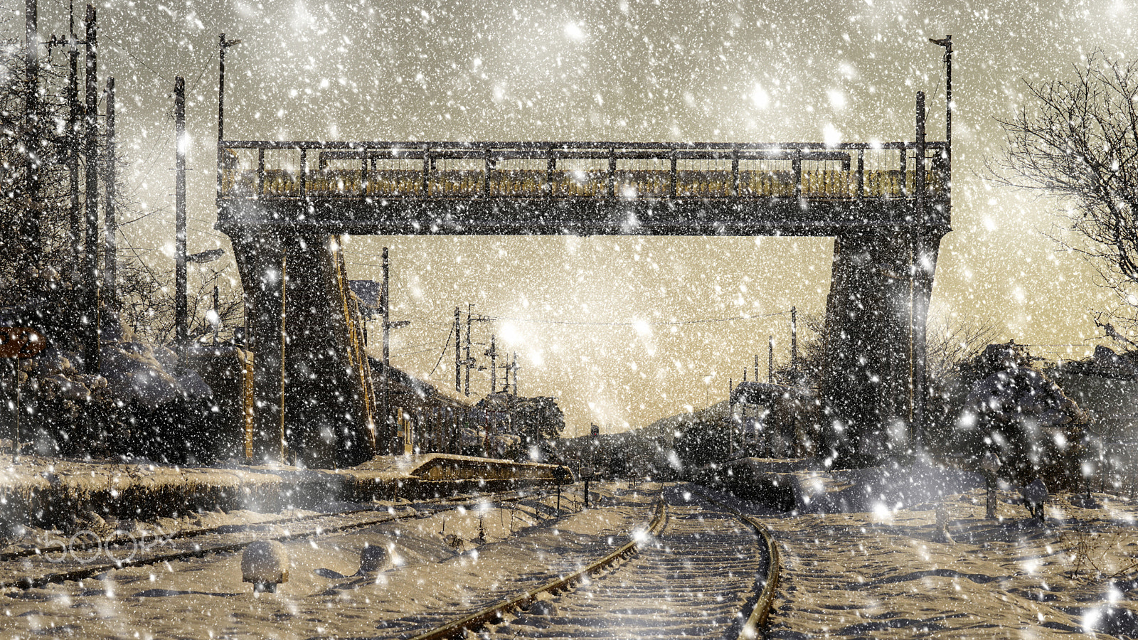 Sony DT 55-300mm F4.5-5.6 SAM sample photo. In the snow photography