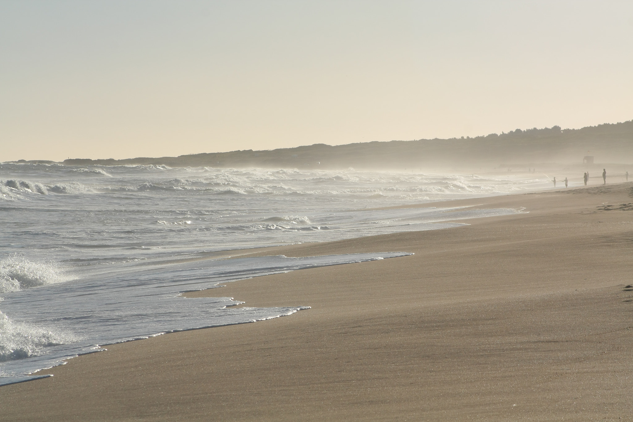 Canon EF 75-300mm f/4-5.6 USM sample photo. Tarde photography