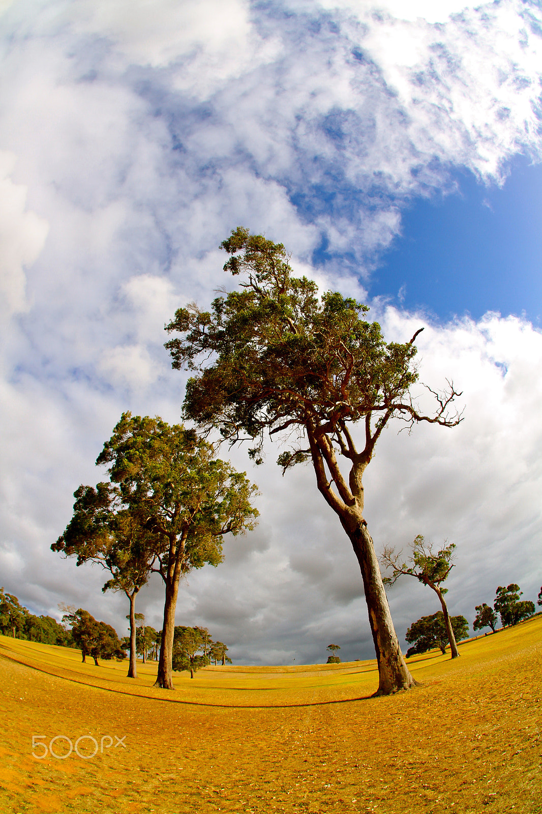 Canon 10mm sample photo. Img_0088.jpg photography