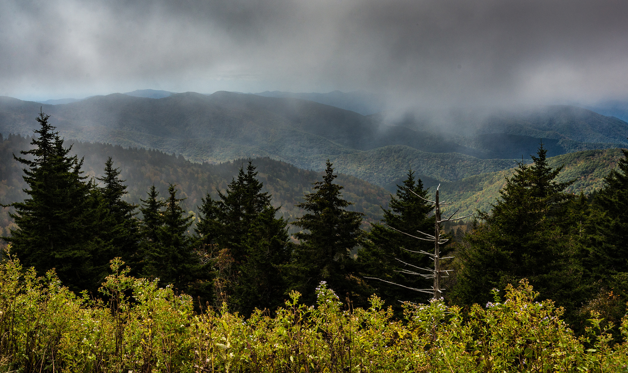 AF Zoom-Nikkor 28-80mm f/3.3-5.6G sample photo. Richland balsam 3 photography