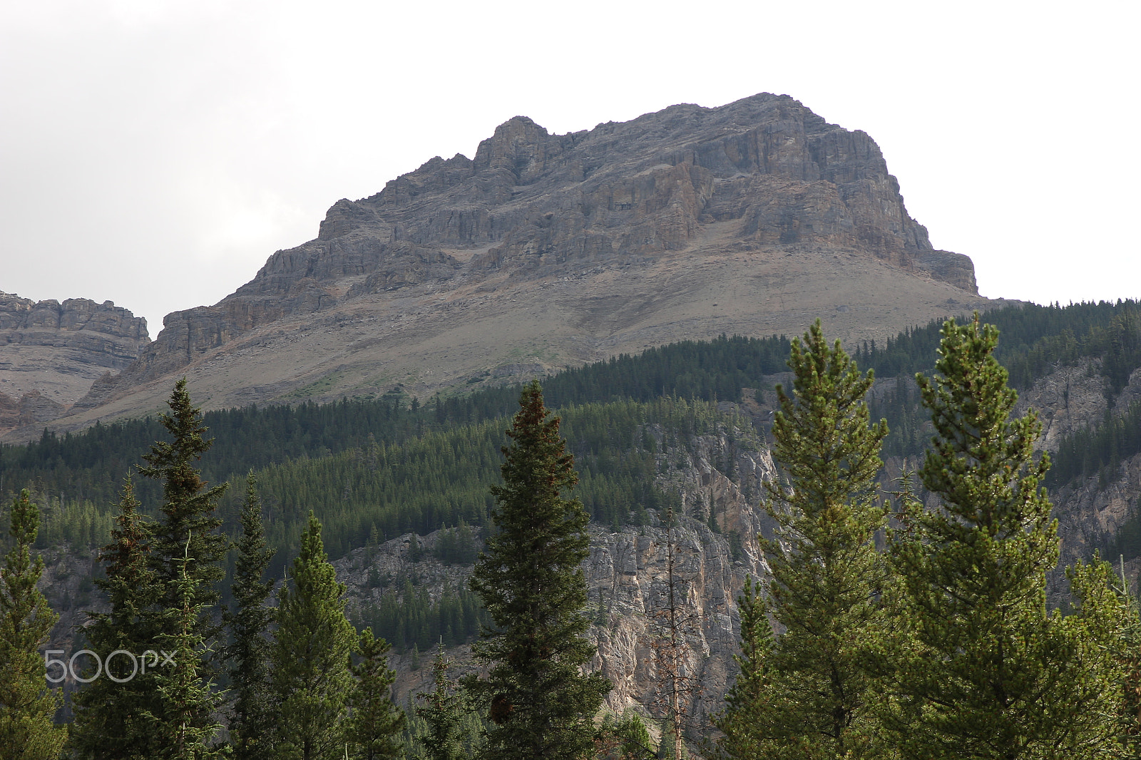 Sigma 17-70mm F2.8-4 DC Macro OS HSM sample photo. Big rock photography