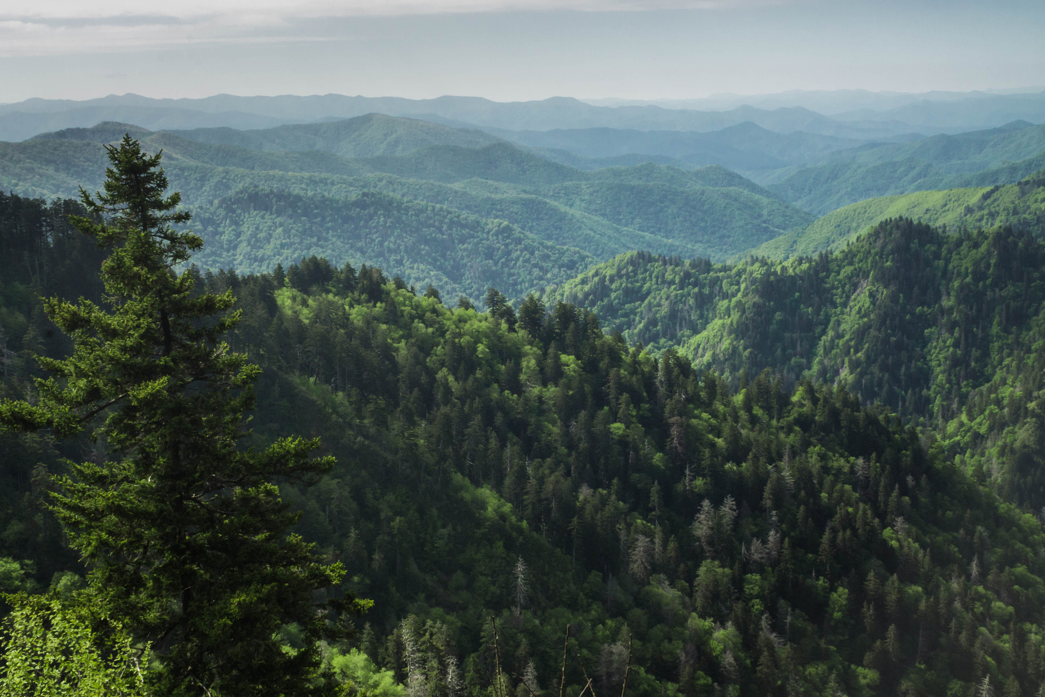 Canon EF 28-90mm f/4-5.6 sample photo. Rolling mountains ii (at) photography