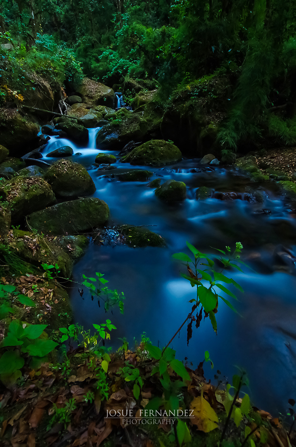 Sigma 10-20mm F3.5 EX DC HSM sample photo. Magical river photography