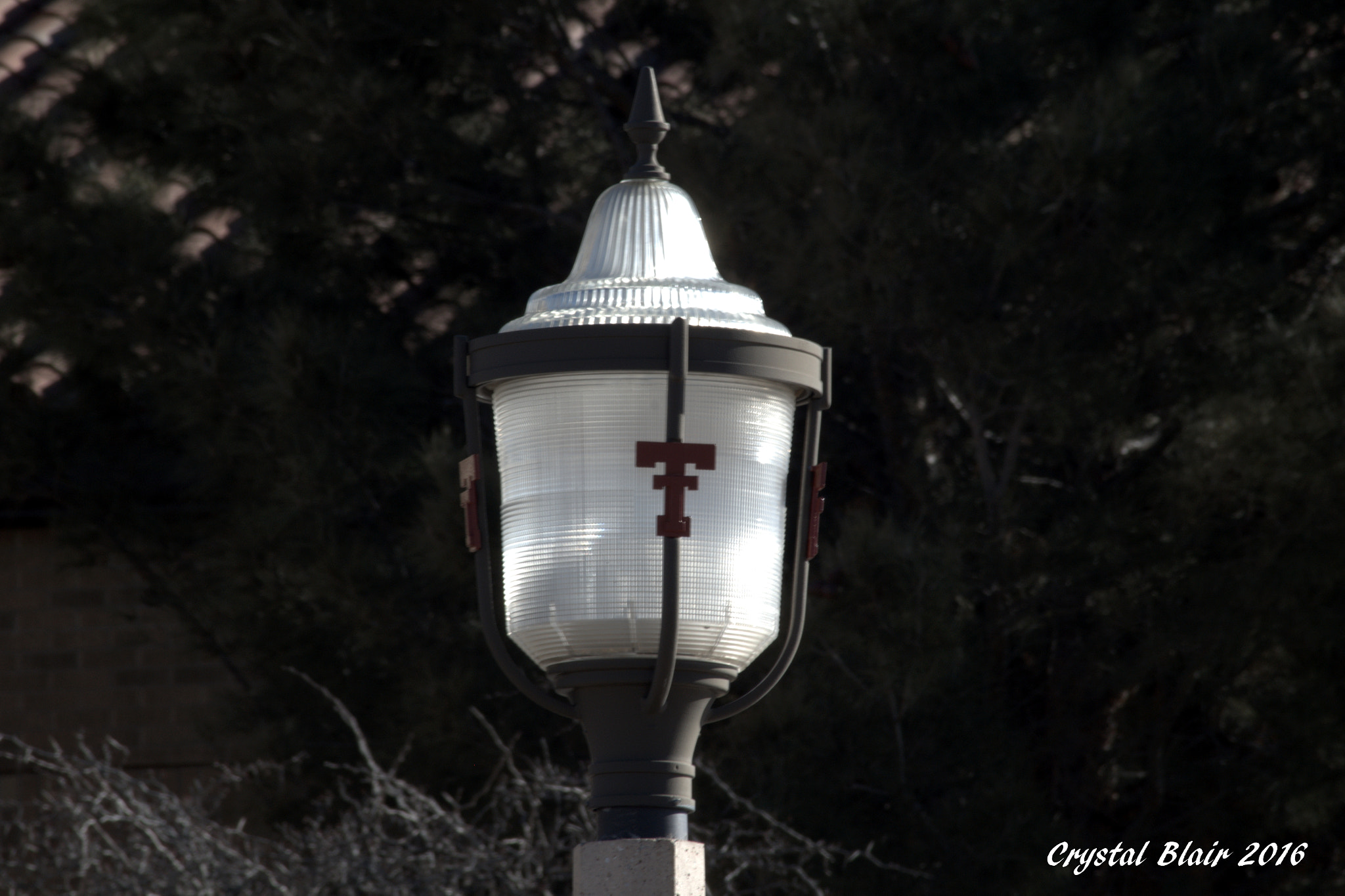 Canon EOS 1200D (EOS Rebel T5 / EOS Kiss X70 / EOS Hi) sample photo. Texas tech lamp photography