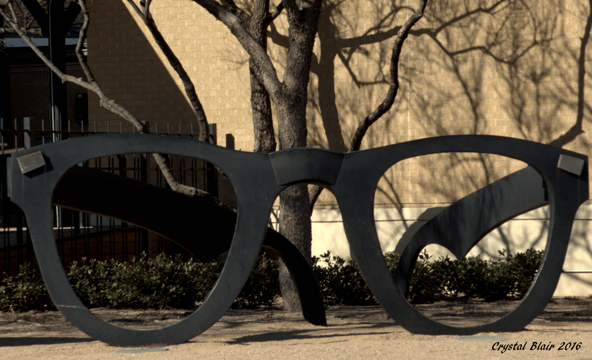 Canon EOS 1200D (EOS Rebel T5 / EOS Kiss X70 / EOS Hi) sample photo. Buddy holly photography