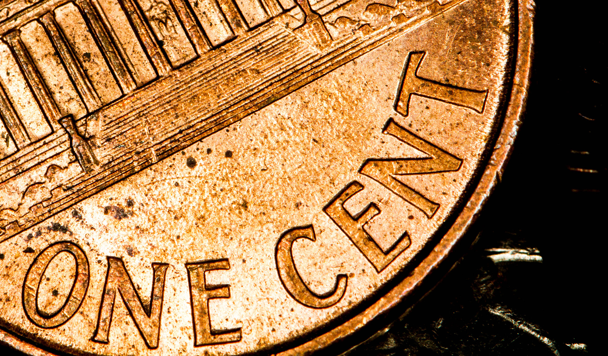 Canon EOS 7D + Canon EF 100mm F2.8 Macro USM sample photo. Macro photography! one cent photography
