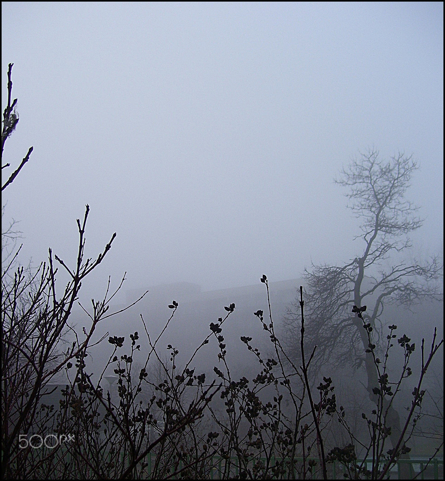 Kodak EASYSHARE C533 ZOOM DIGITAL CAMERA sample photo. Foggy morning photography