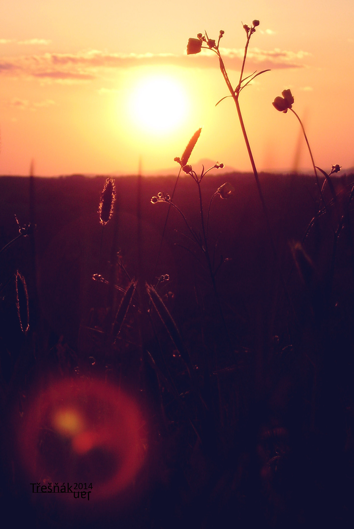 Olympus FE290,X825 sample photo. Sunset in bohemian paradise photography