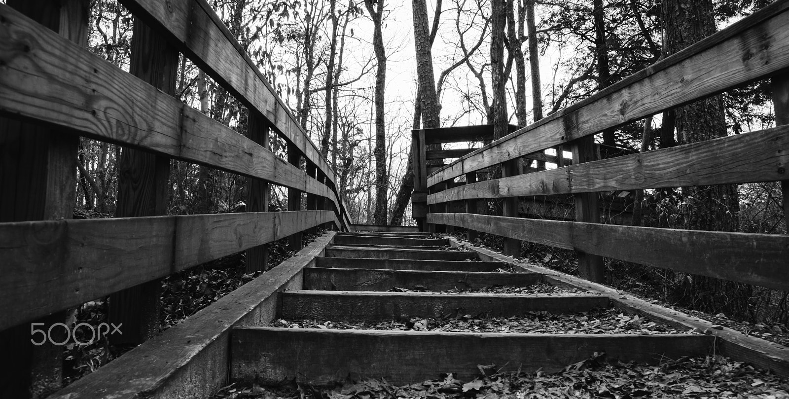 Sony SLT-A65 (SLT-A65V) sample photo. Steps photography