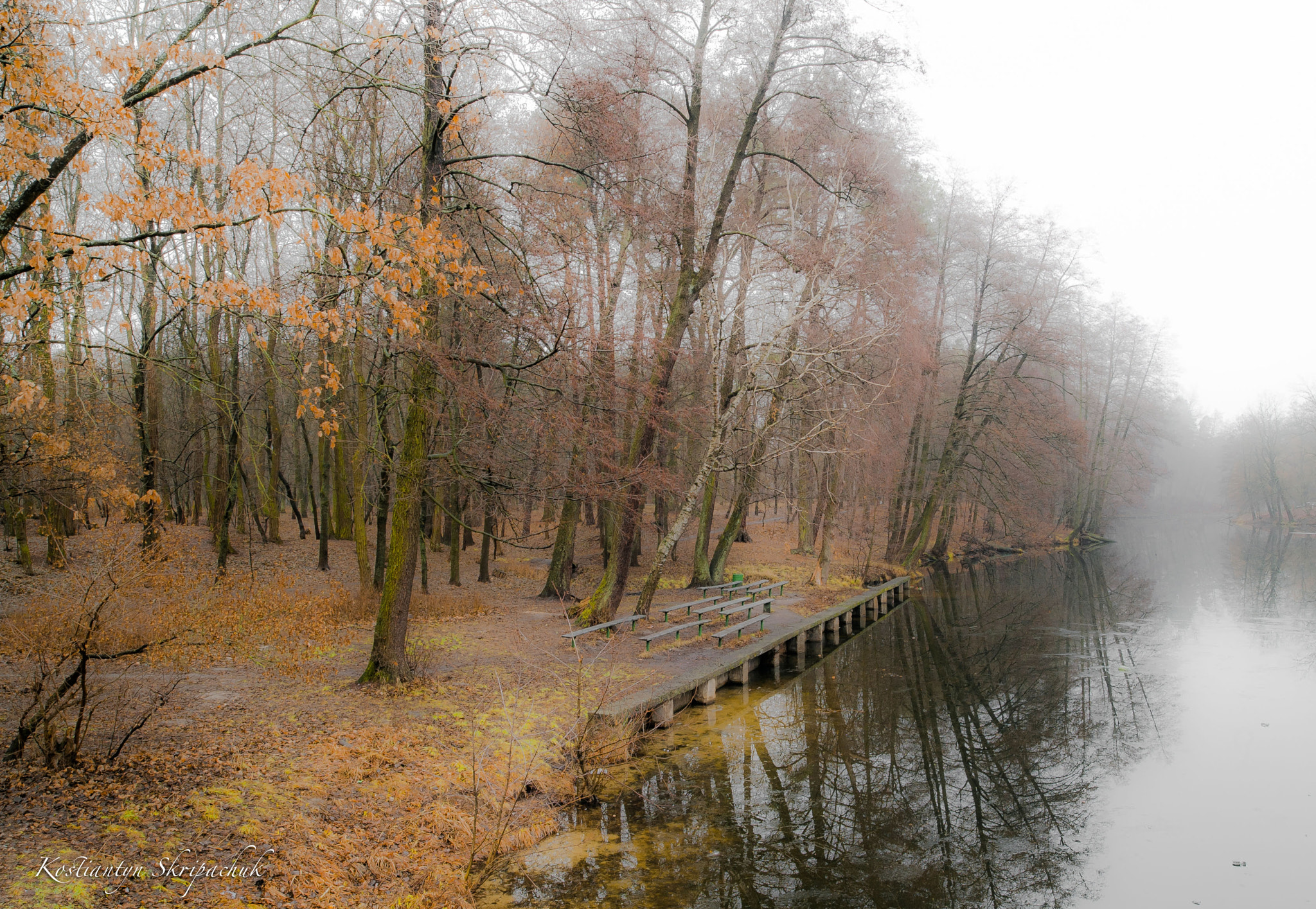 Nikon D3 sample photo. "morning" photography