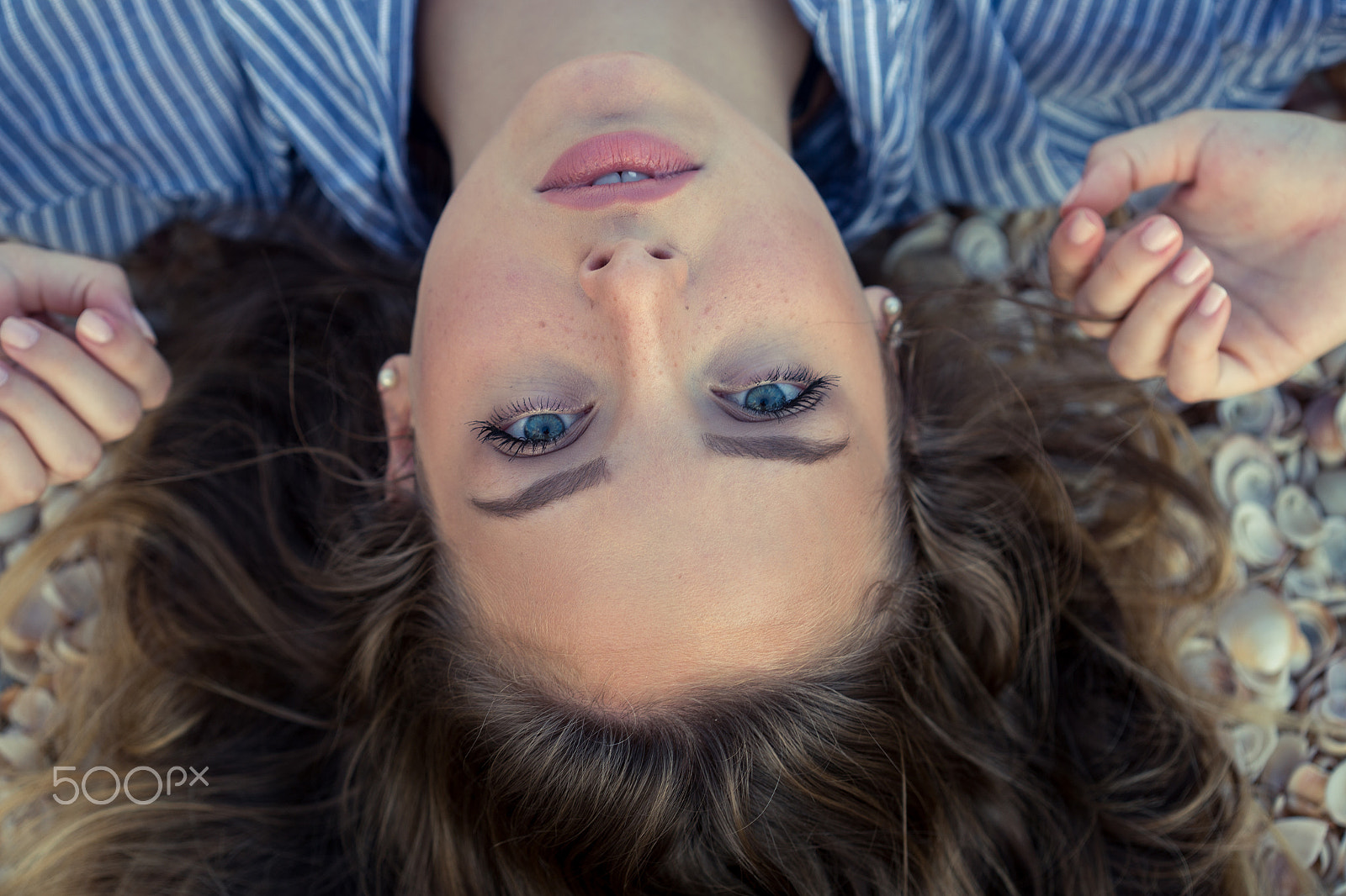 Canon EOS 6D + Canon EF 100mm F2.8 Macro USM sample photo. Orian ben ezra photography
