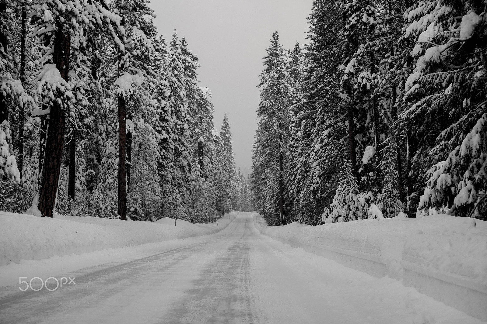 Fujifilm X-A1 + Fujifilm XF 55-200mm F3.5-4.8 R LM OIS sample photo. Snowy road photography