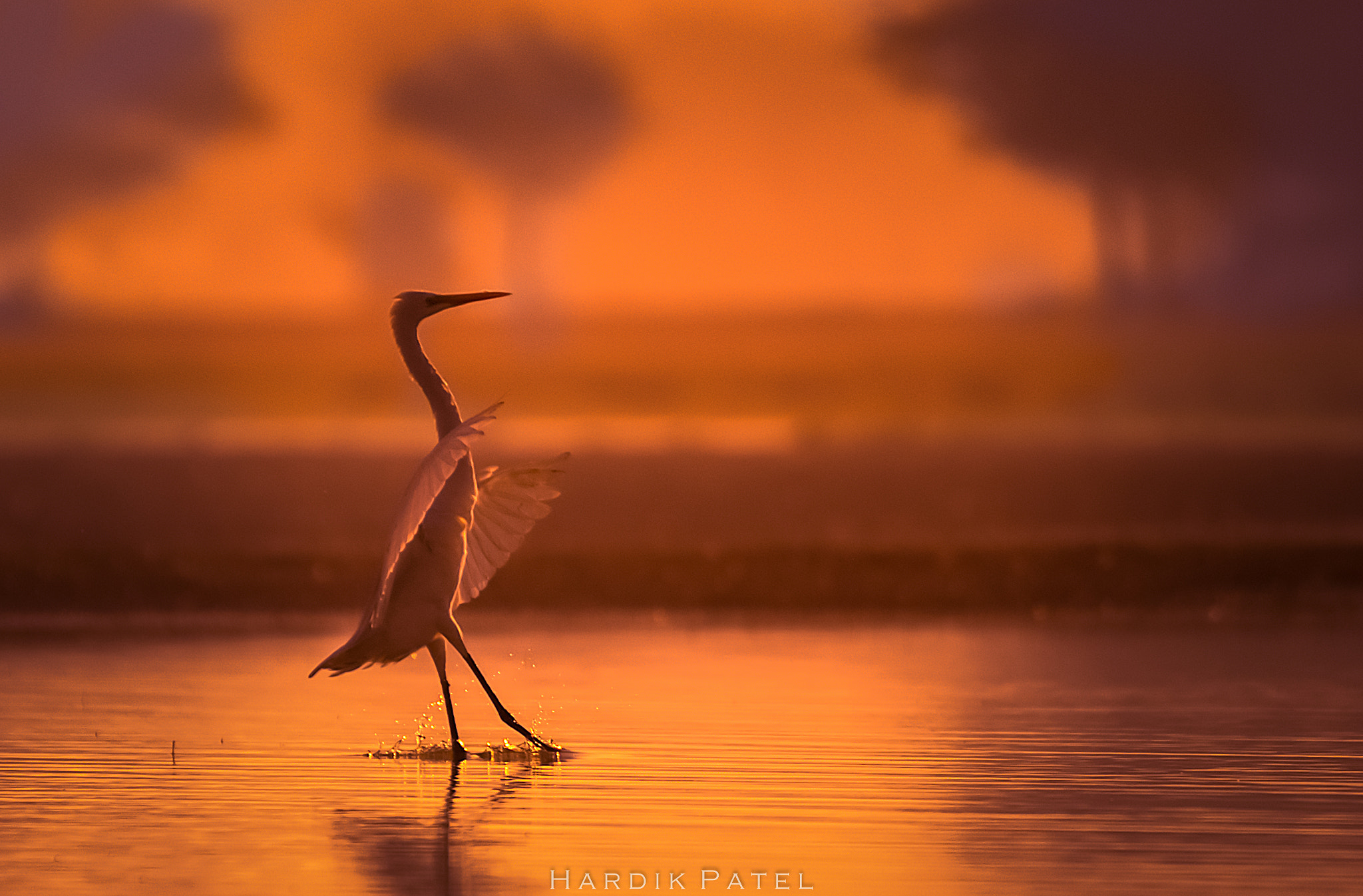 Nikon D4S sample photo. Early morning capture... photography