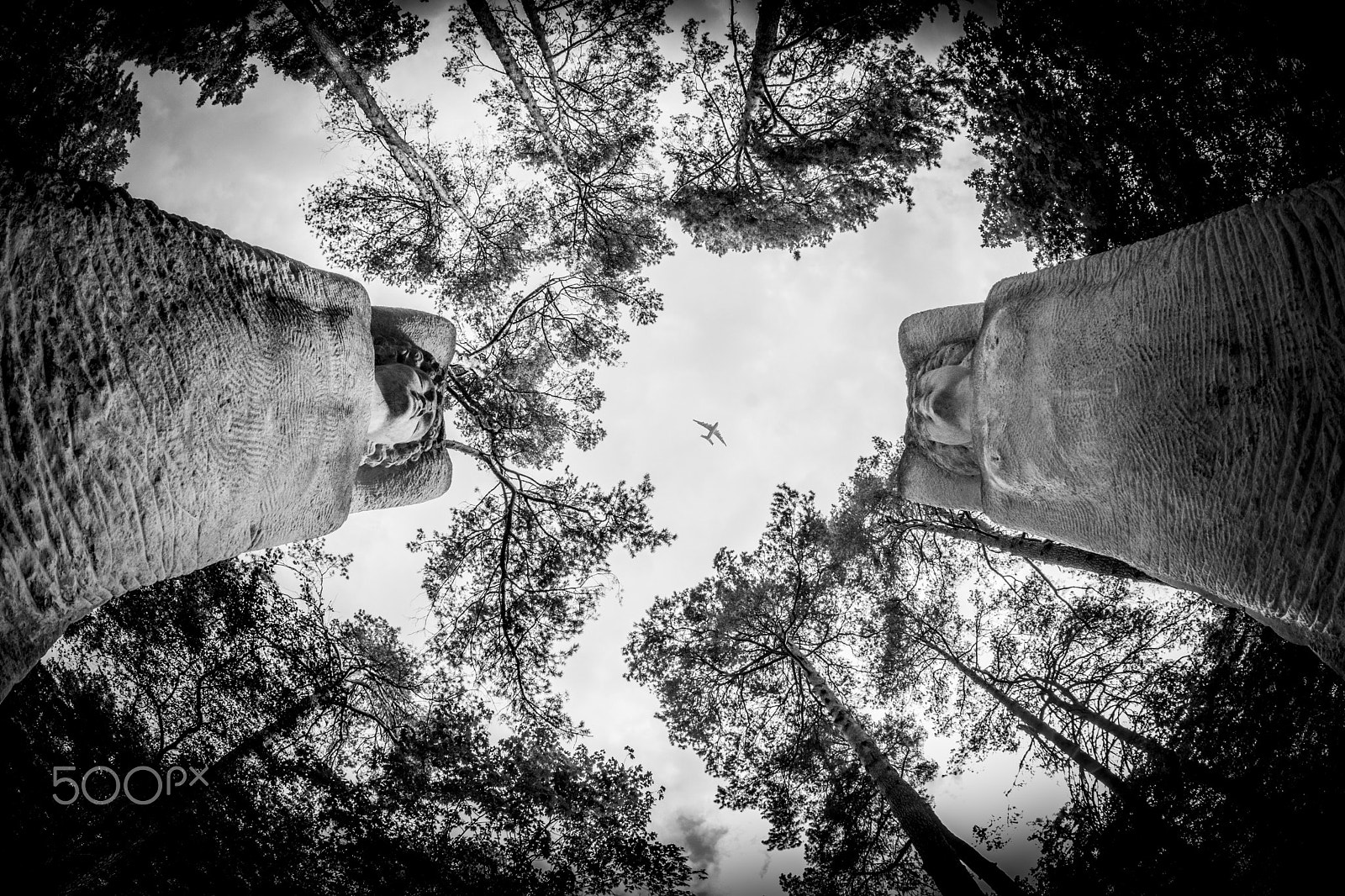 Nikon D7100 + Sigma 10mm F2.8 EX DC HSM Diagonal Fisheye sample photo. Custodians photography