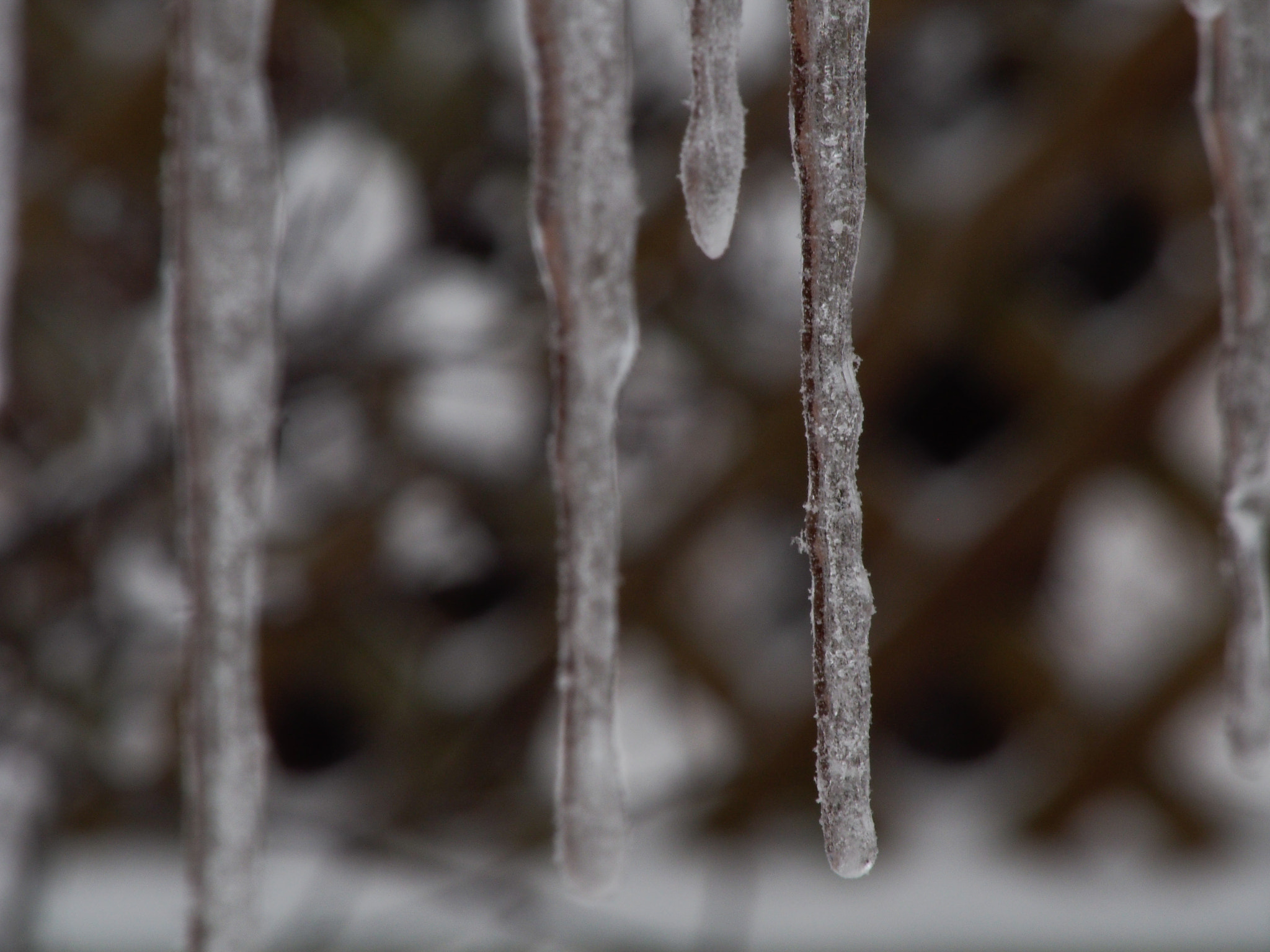 Panasonic Lumix G Vario 45-200mm F4-5.6 OIS sample photo. Icicles photography