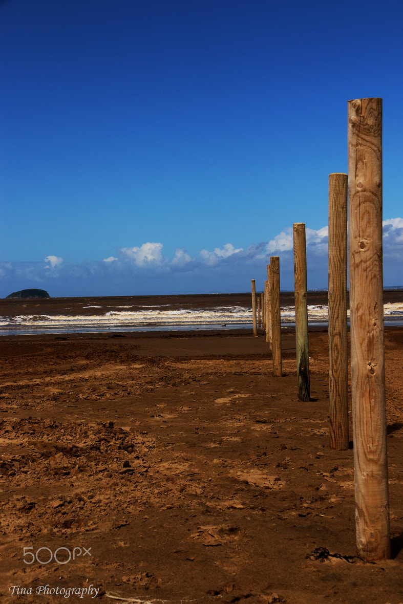 Canon EOS 70D + Canon EF 22-55mm f/4-5.6 USM sample photo. The beach photography