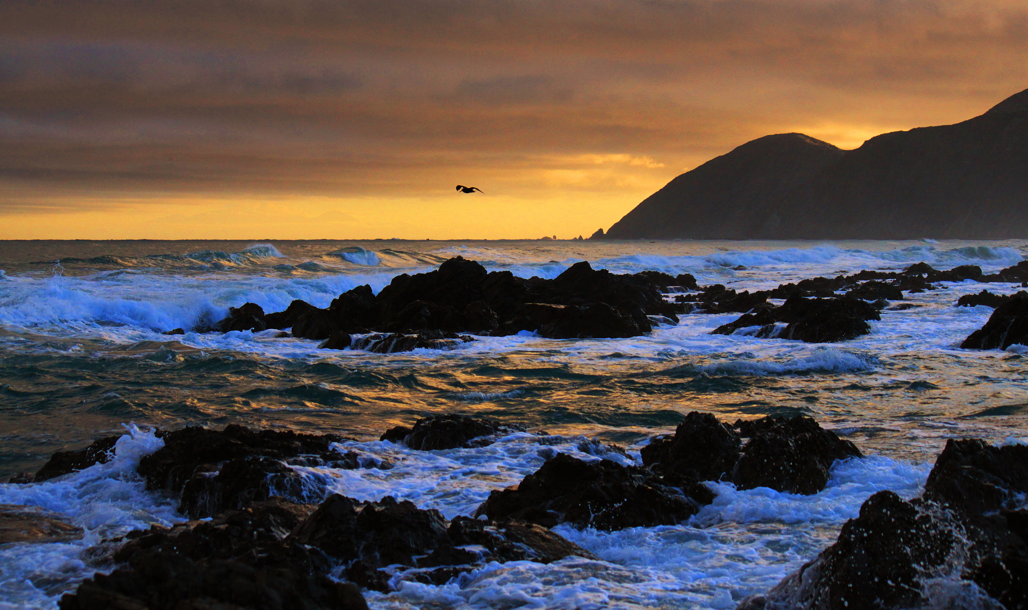 Canon EF-S 55-250mm F4-5.6 IS sample photo. Owhiro bay photography