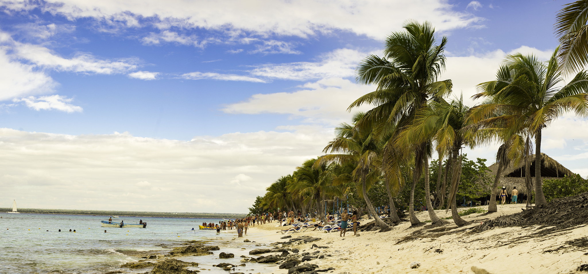 Nikon D600 sample photo. Isla catalina photography