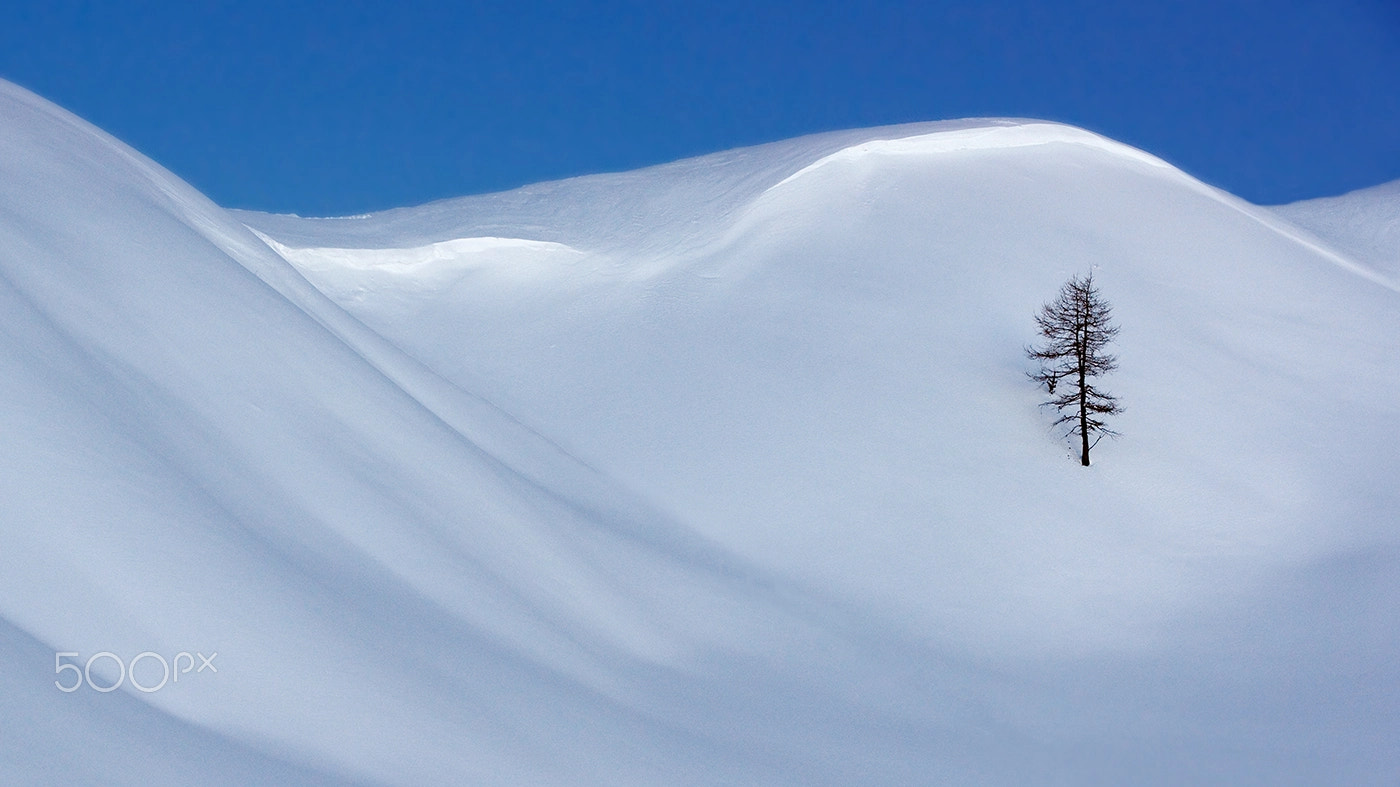 Minolta/Sony AF 70-200mm F2.8 G sample photo. Lost in snow photography