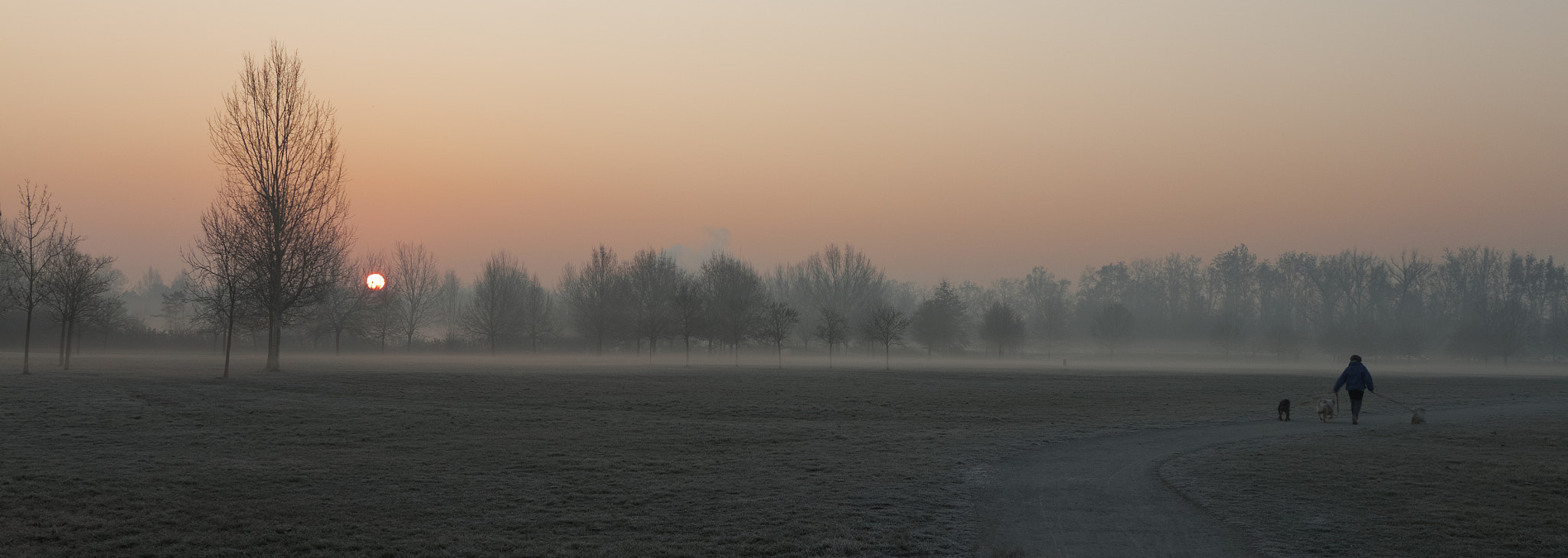 Canon EOS 500D (EOS Rebel T1i / EOS Kiss X3) + Sigma 18-125mm F3.8-5.6 DC OS HSM sample photo. Foggy morning photography