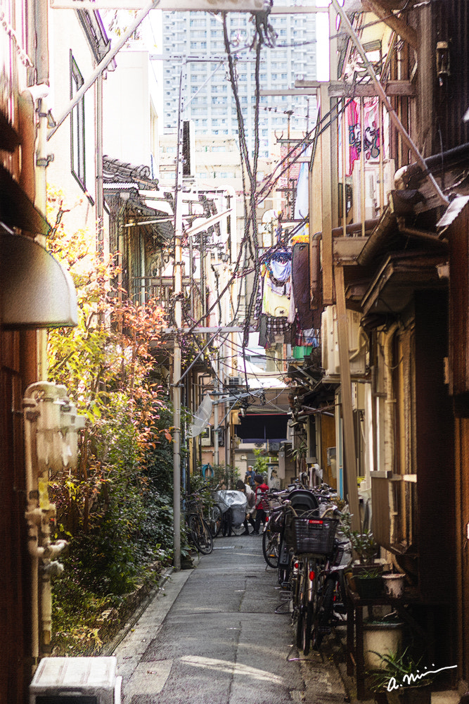 Canon EOS M3 + Canon EF 50mm F1.8 II sample photo. One alleyway at tokyo photography