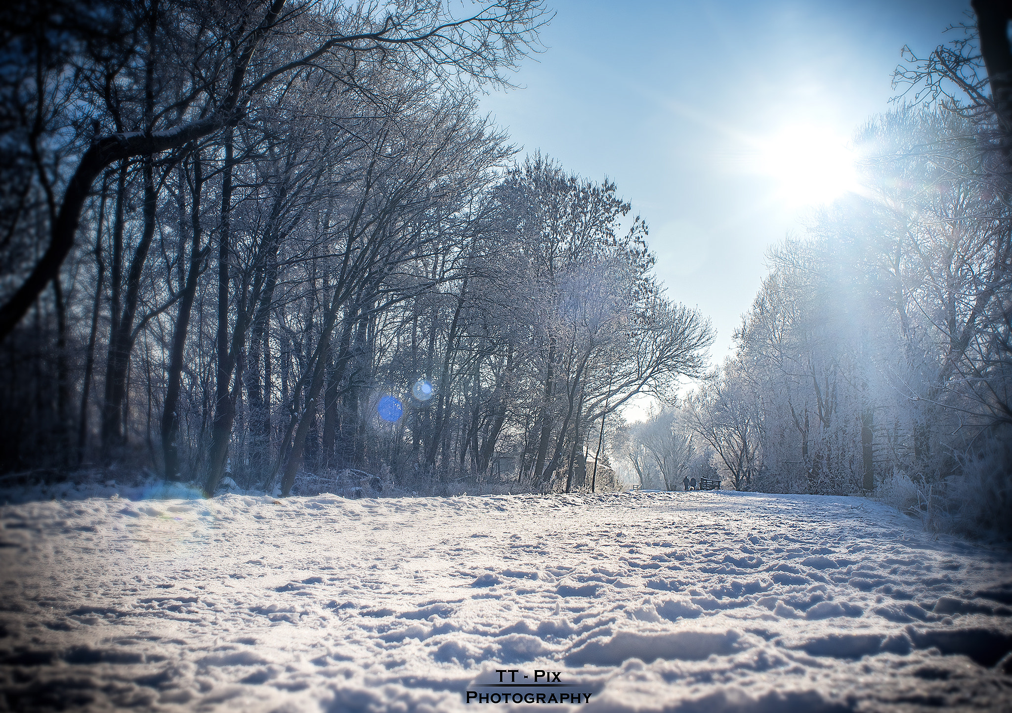 Nikon D810 + AF Nikkor 24mm f/2.8 sample photo. Aue_bremerhaven photography