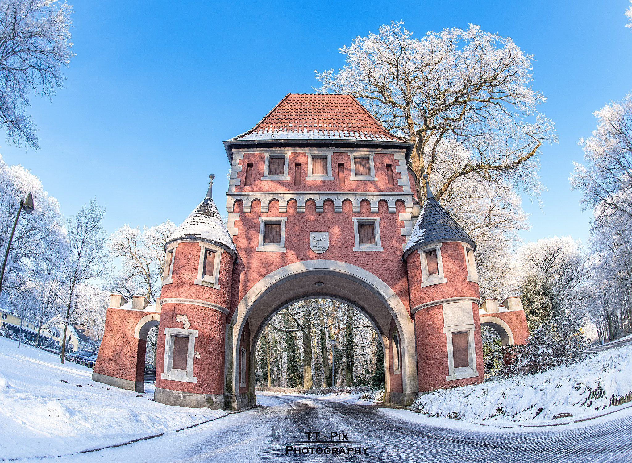 Nikon D810 + Nikon AF Fisheye-Nikkor 16mm F2.8D sample photo. Parktor speckenbütteler park photography
