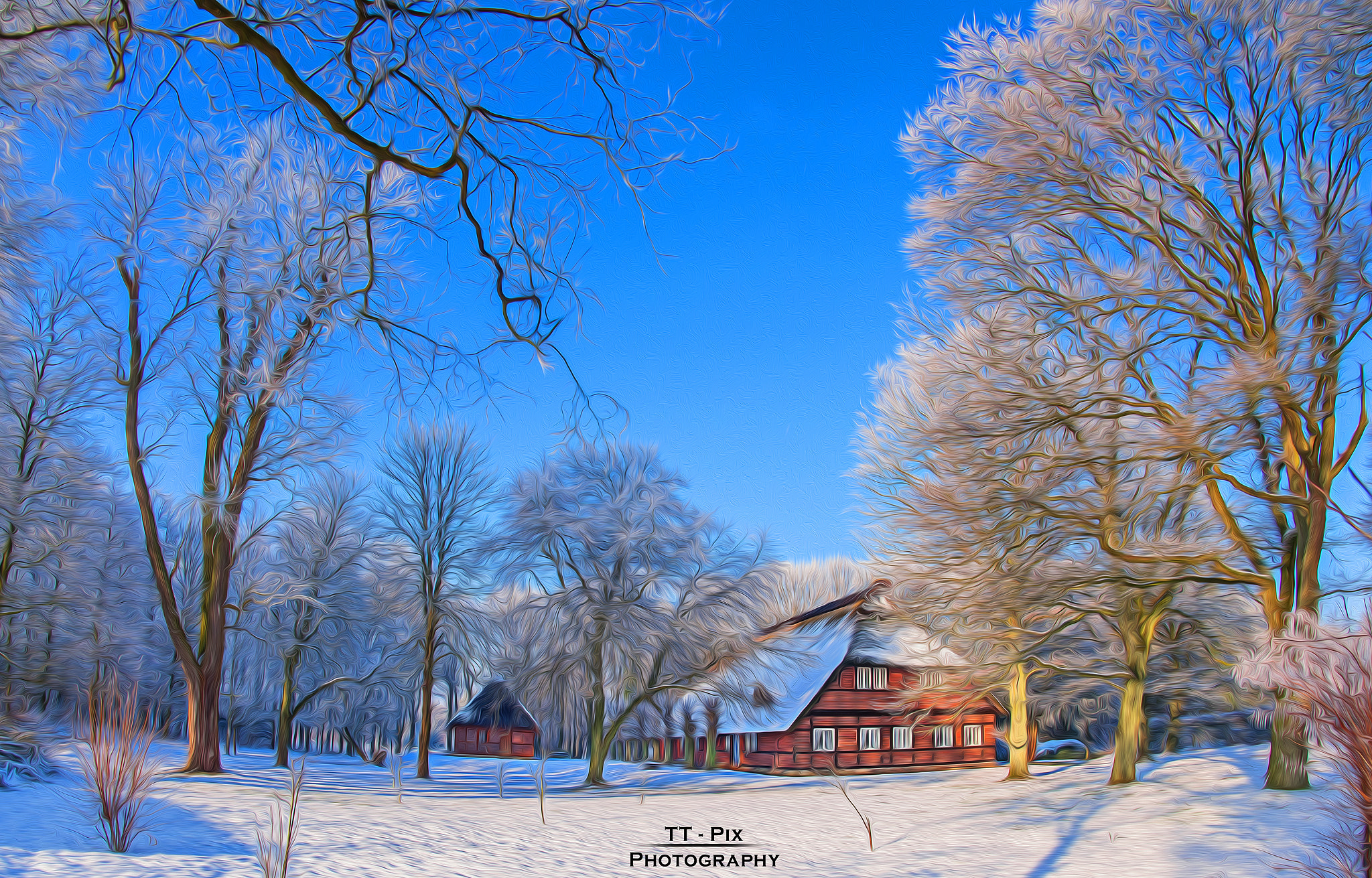 Nikon D810 + Nikon AF Fisheye-Nikkor 16mm F2.8D sample photo. Bauernhaus Öl-look photography