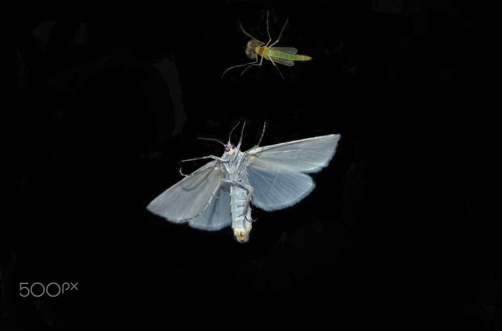 Nikon D3100 + Nikon AF Nikkor 14mm F2.8D ED sample photo. Night on the window glass photography