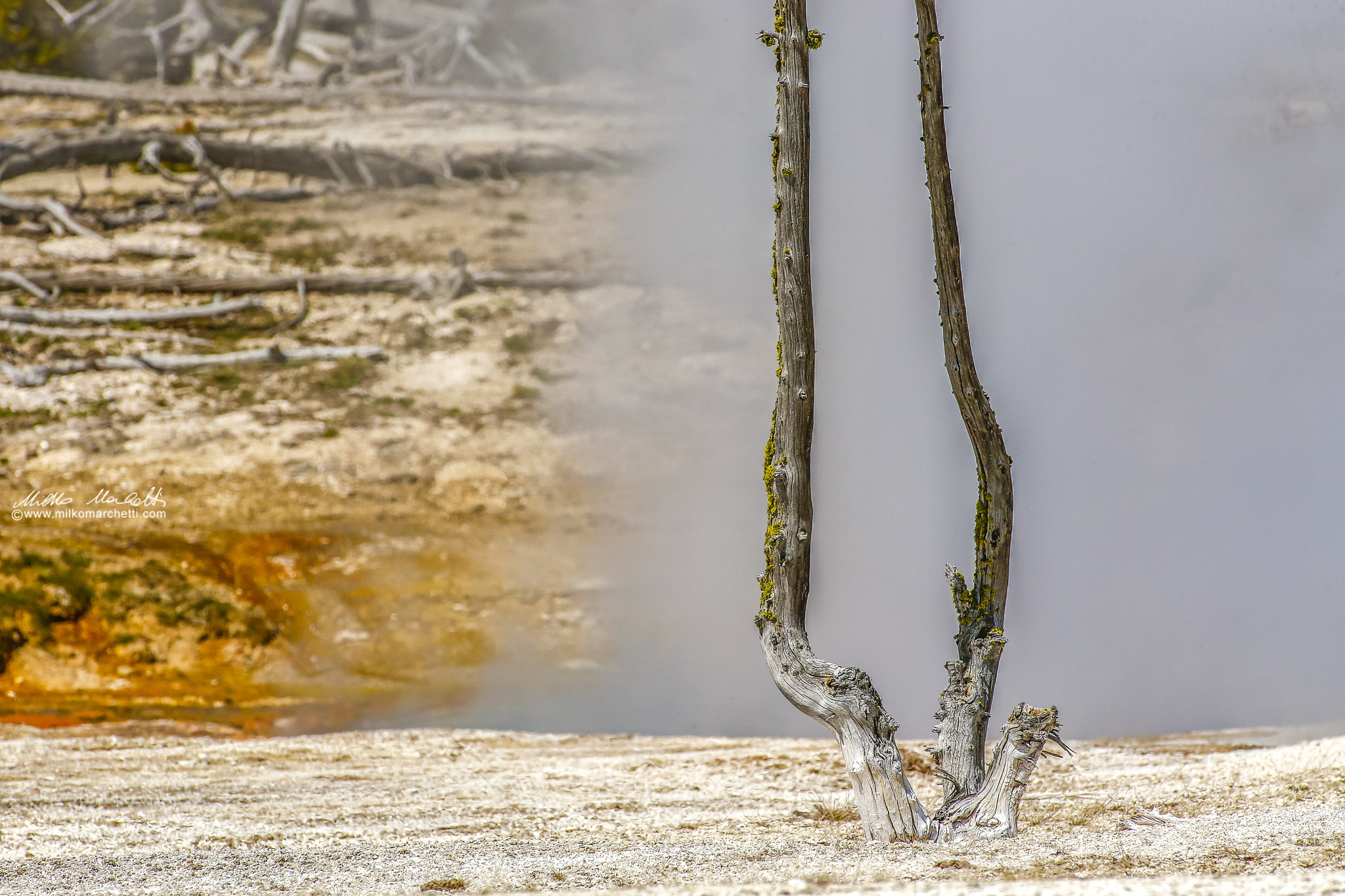 Canon EF 300mm f/2.8L + 1.4x sample photo. Yellowstone lake photography