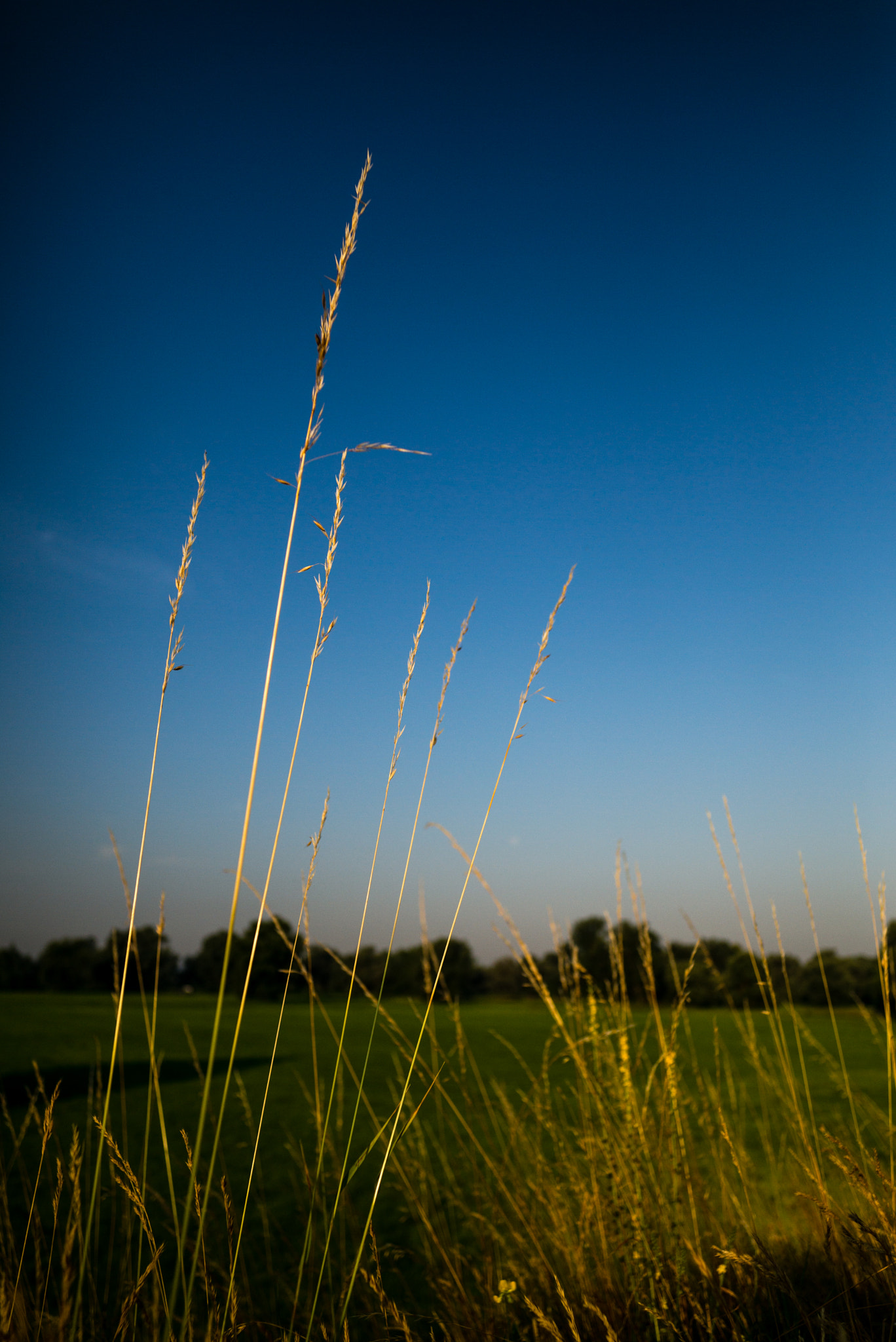 Elmarit-M 1:2.8/21 sample photo. Magic moments photography